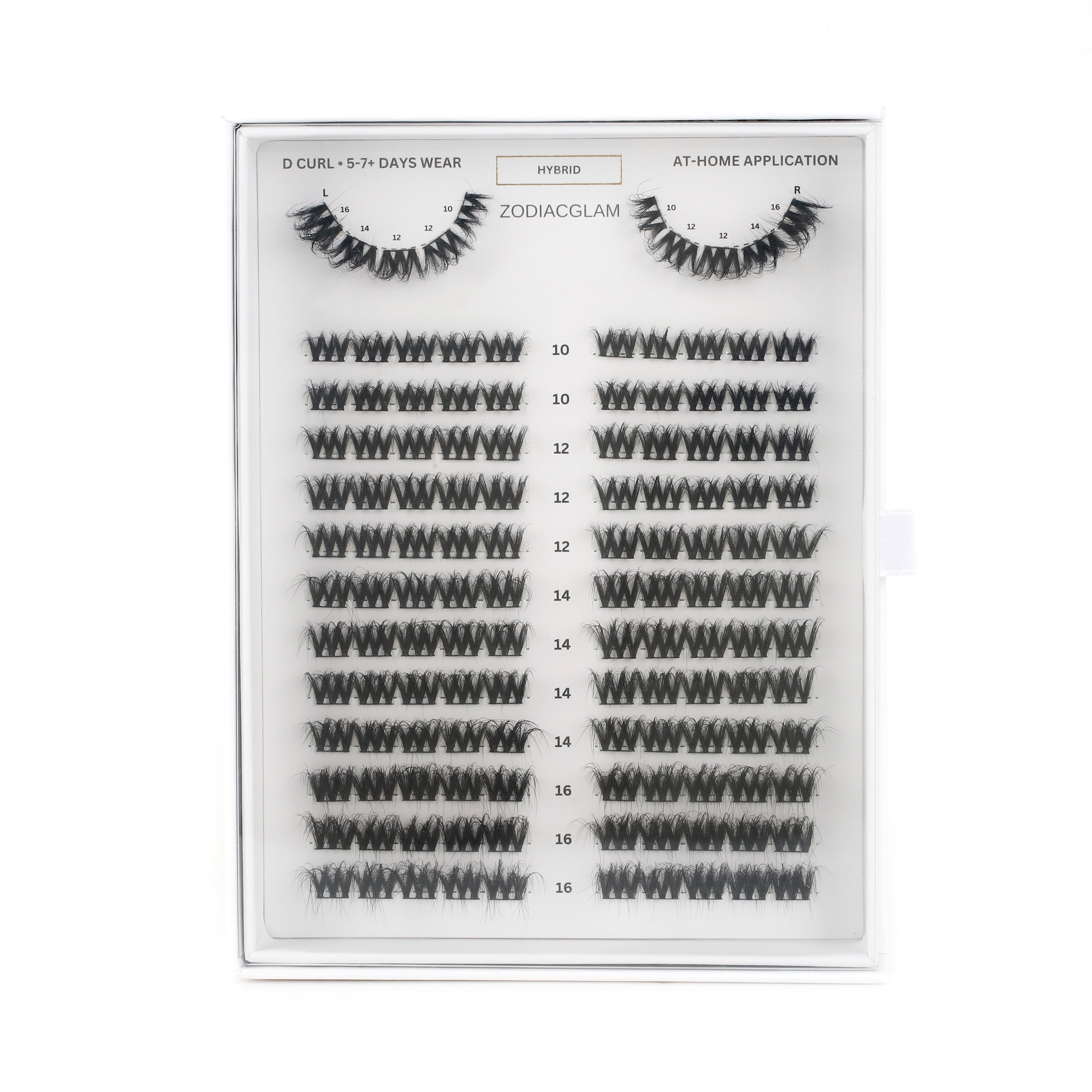 Hybrid - DIY Lash Clusters (D CURL)