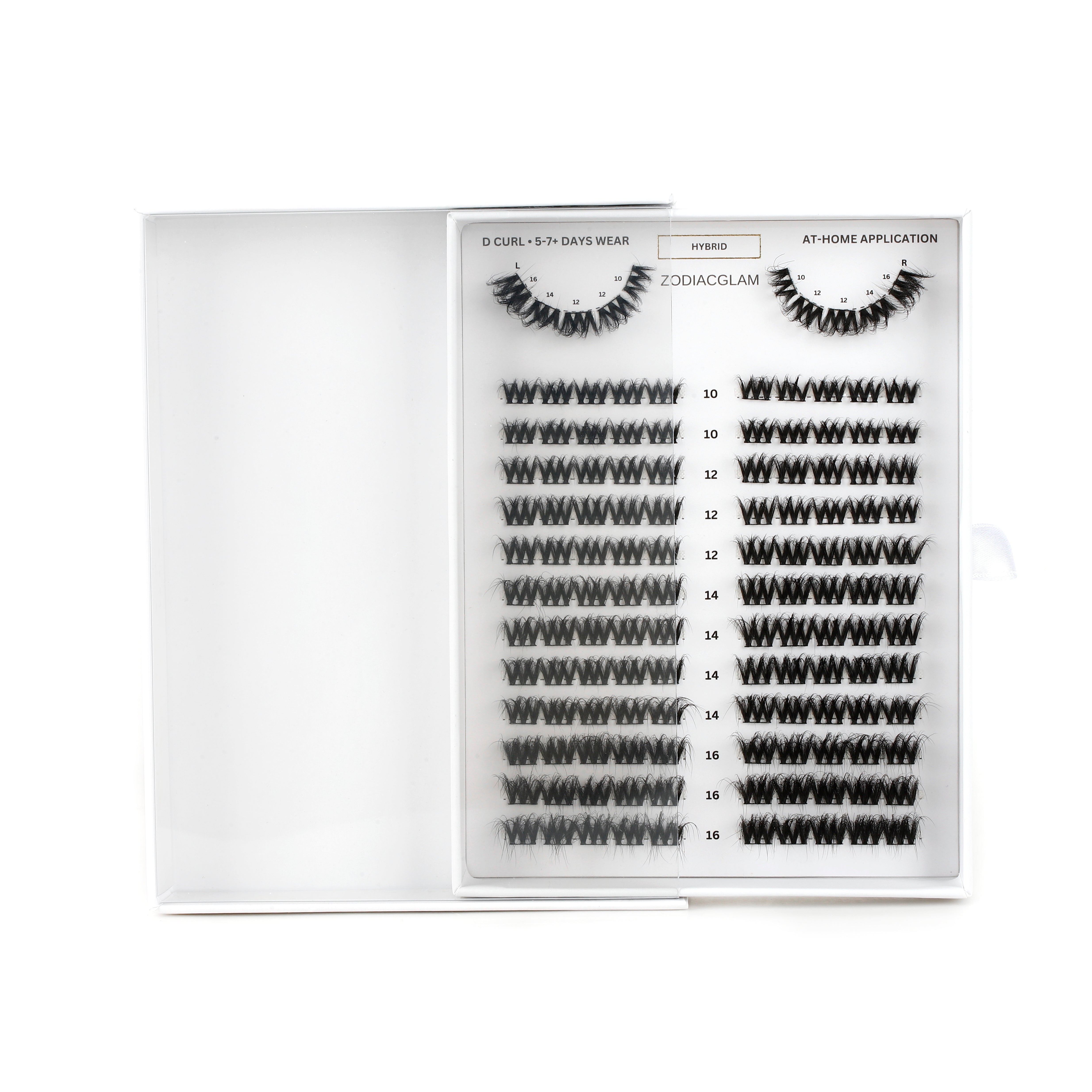 Hybrid - DIY Lash Clusters (D CURL)