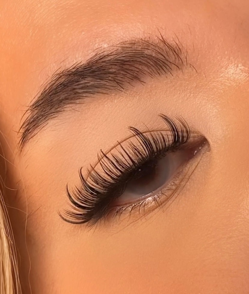 Taurus-lashes